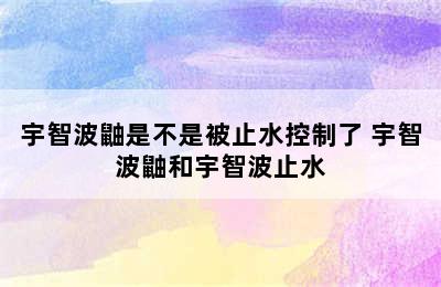 宇智波鼬是不是被止水控制了 宇智波鼬和宇智波止水